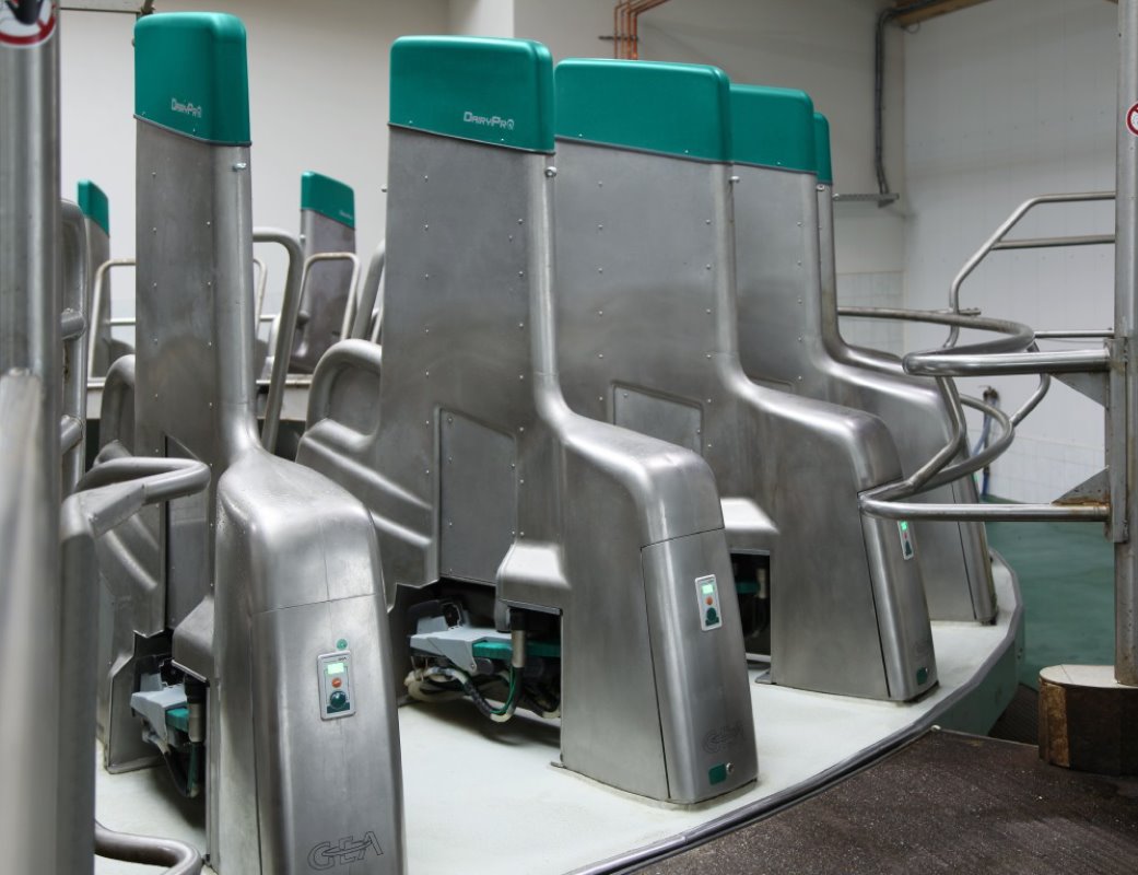 World First GEA Technology Launches Automatic Rotary Milking Dairy