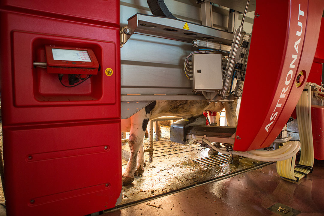 German farmers put money in robot, not parlour - Dairy Global