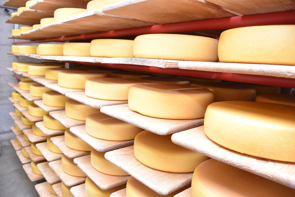 Switzerland: Huge appetite for cheese - Dairy Global