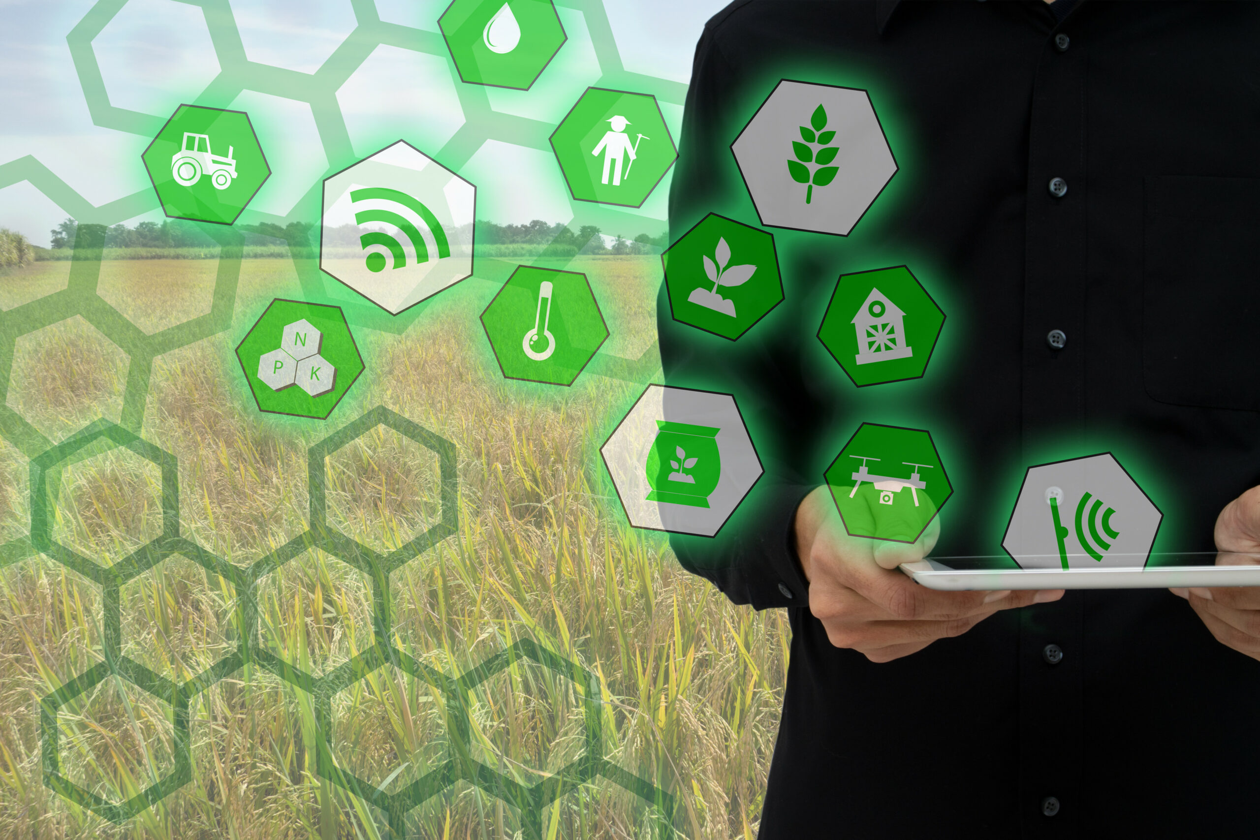 Smart agriculture. Цифровая экосистема сельского хозяйства. Экосистема цифровая фермер. Интернет вещей в сельском хозяйстве. Цифровая трансформация АПК.