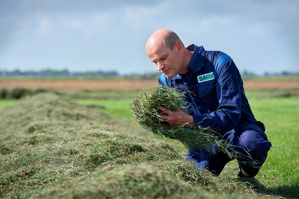 new-feed-additive-reduces-dairy-cows-methane-emissions-dairy-global