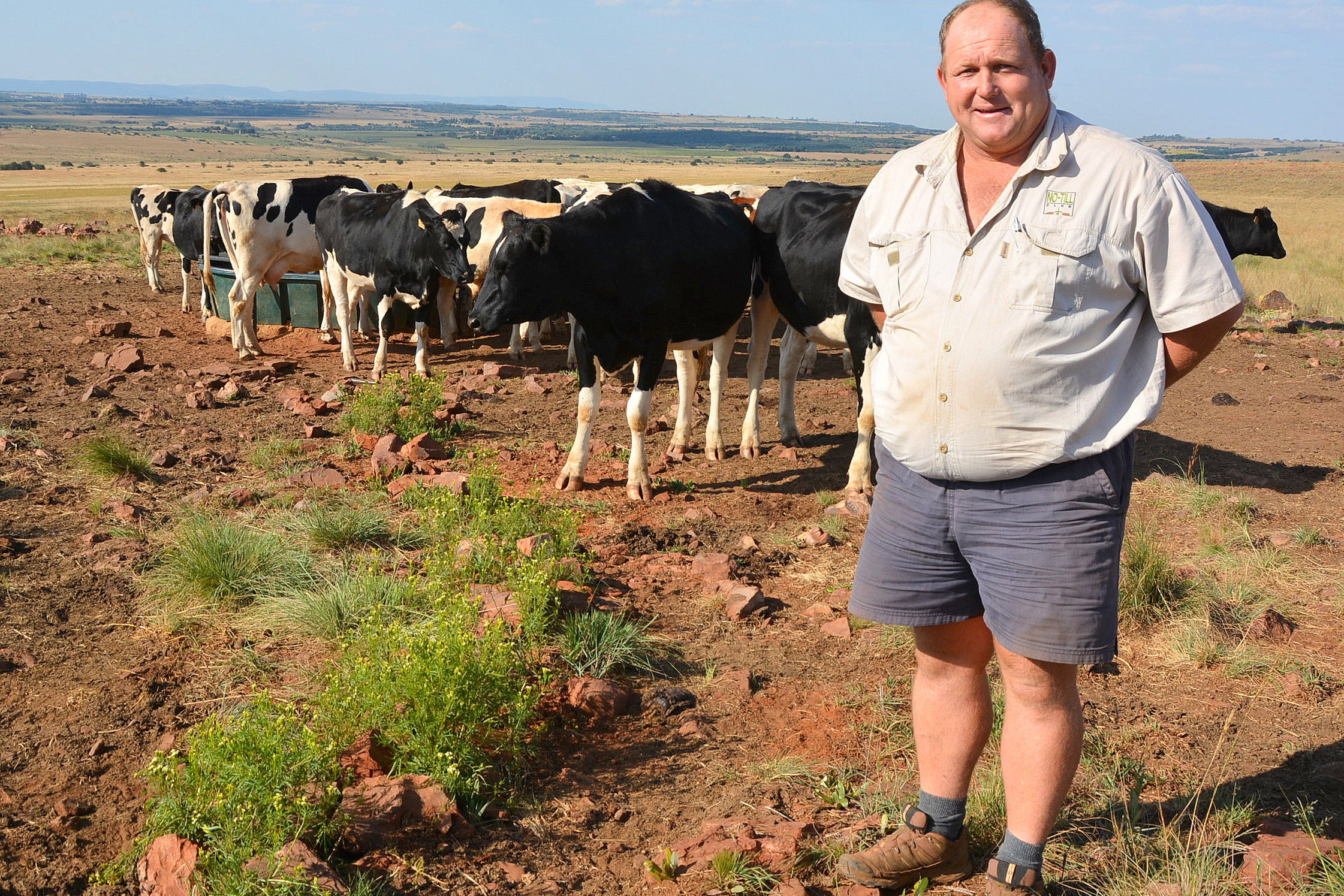 Processing Own Milk In South Africa Dairy Global