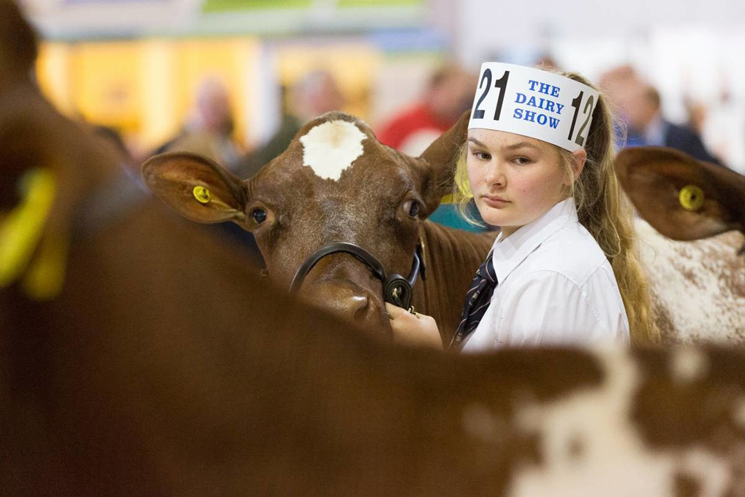 Vets compete for Dairy Industry Vet of the Future award - Dairy Global