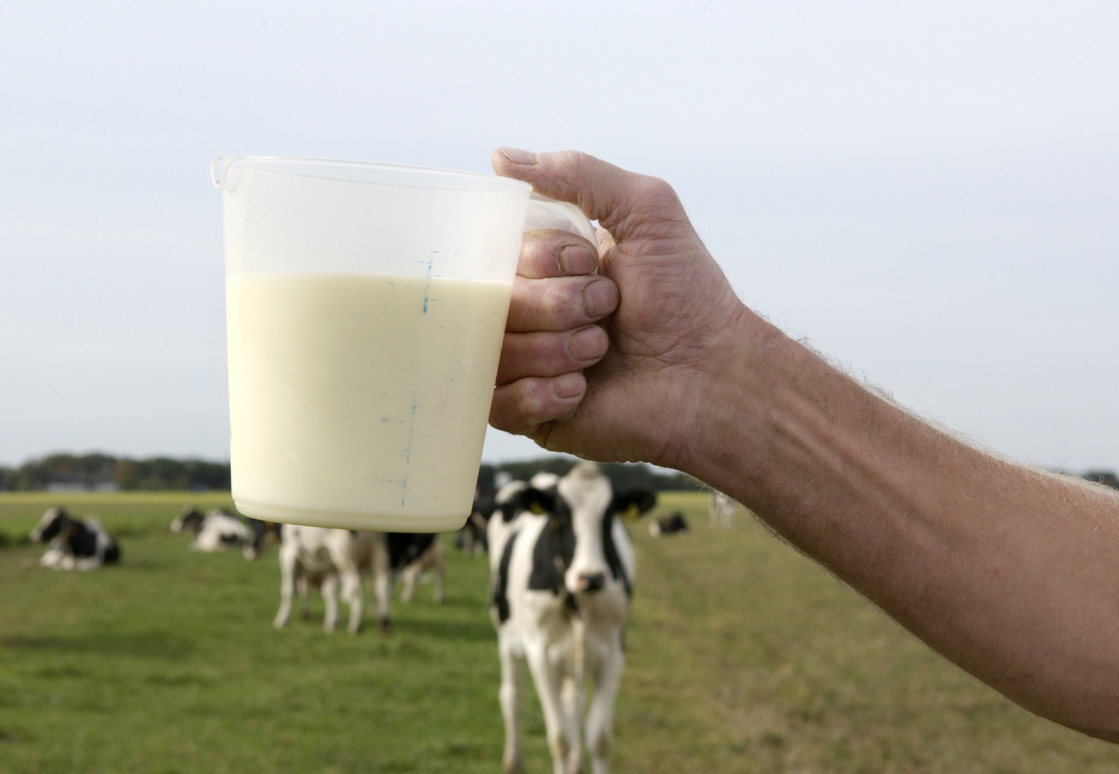 milk-quota-end-new-limiting-factors-arise-dairy-global