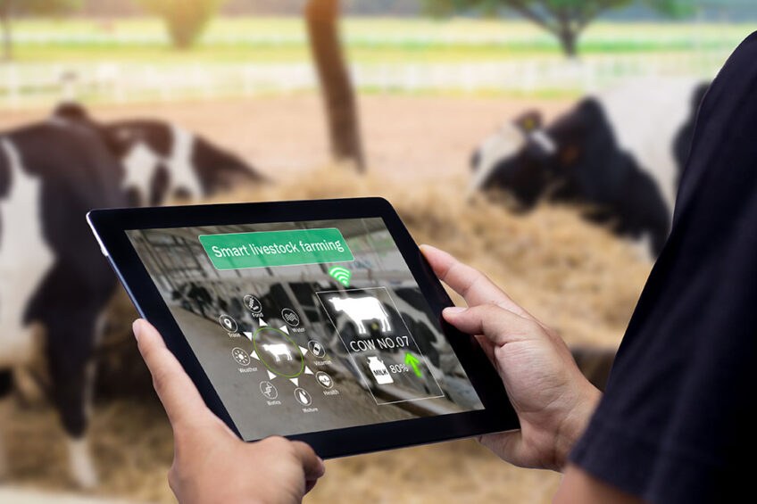 Startup Spotlight: How  is Cultivating a Digital Ecosystem for  Russian Farmers