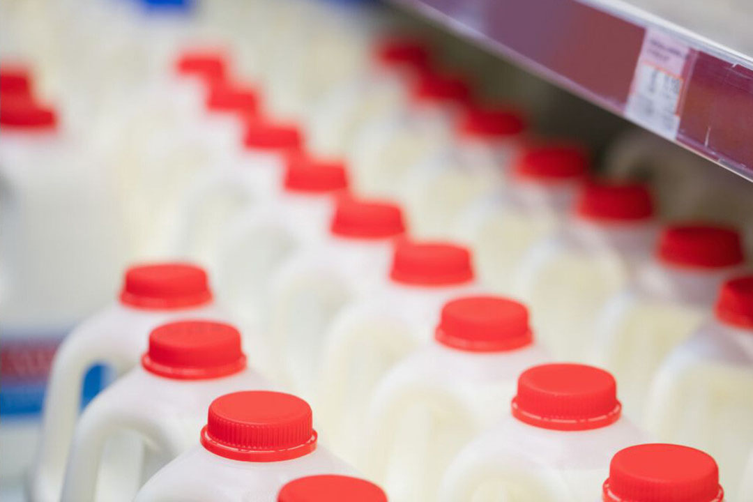 Milk quality violations in Russia highlighted - Dairy Global