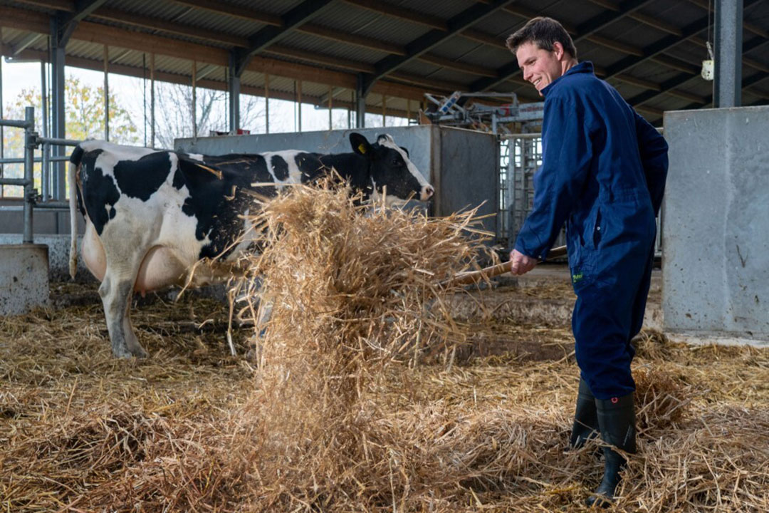 Producers warned over straw feed - Farmers Weekly