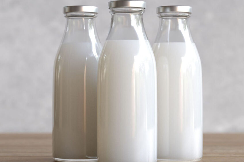 How packaging influences milk flavour - Dairy Global