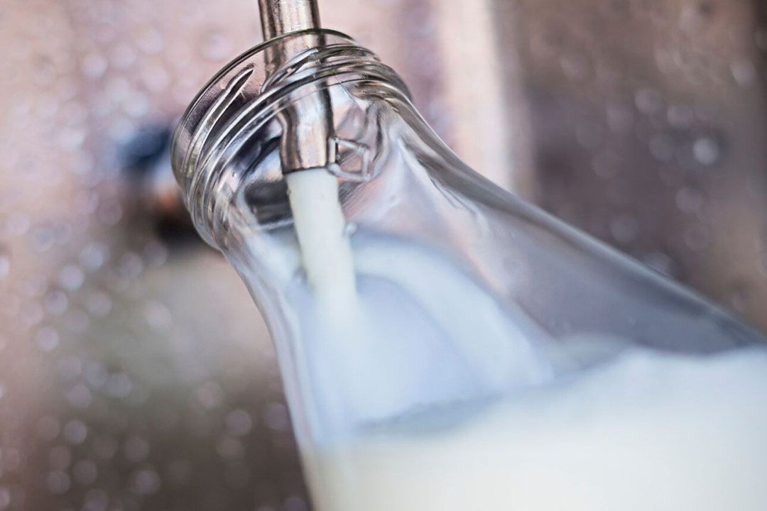 US New law allows Iowa farmers to sell raw milk Dairy Global