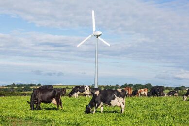 A wind turbine was already in place at Shinagh Farm when the project commenced. Photo: Shinagh Farm