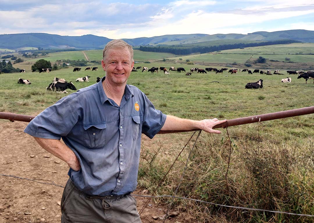 Expanding a dairy farm in South Africa has its own challenges - Dairy ...