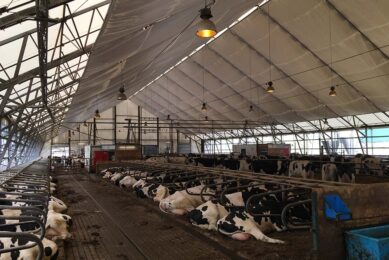 Bedding quality can benefit udder health