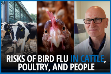 VIDEO: Risks of H5N1 bird flu in dairy & people