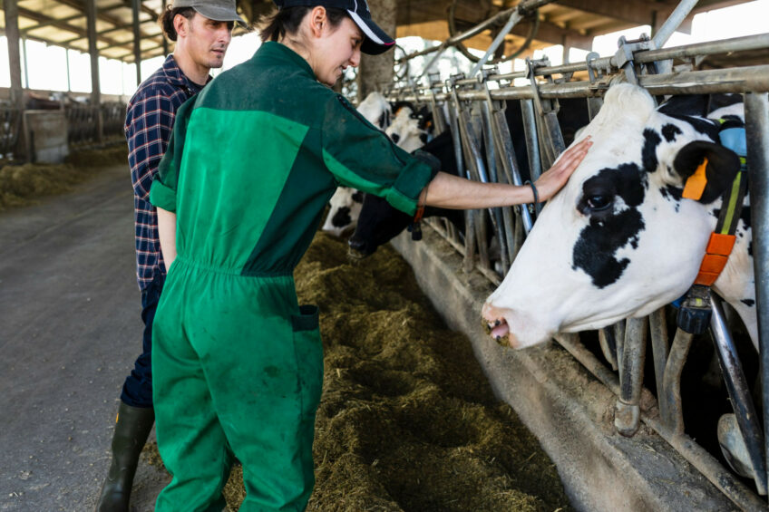 Researchers carried a comorbidity-adjusted economic analysis in more than 180 milk producing countries to estimate the global economic impacts of 12 dairy cattle diseases and health conditions. Photo: Canva