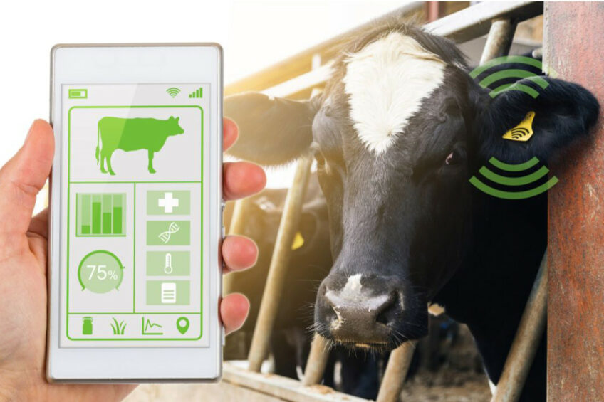 The dairy industry is adopting new technological revolution including augmented reality, infrared thermography, Internet of Things, artificial intelligence, electronic 3D motion detectors, deep learning, 5G technology, and cloud computing to detect mastitis. Photos: Canva