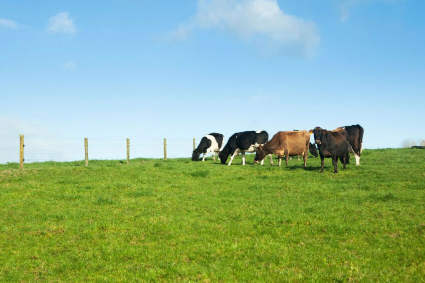 It is predicted that the next drought will drive more dairy farmers out of the industry. Photo: Canva