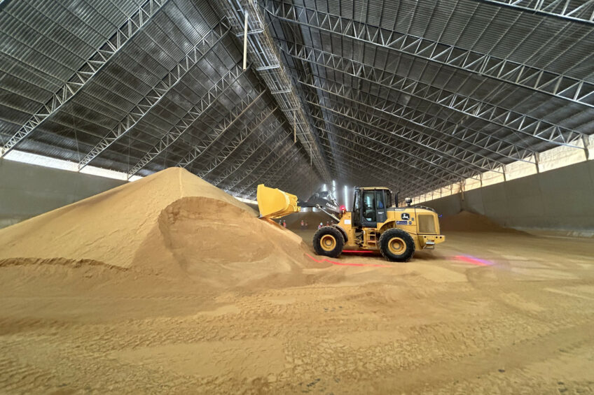 Brazil has been revolutionising milk production in the area by adopting the use of DDG/DDGS (dried distillers grains) in the feeding of its herds. Photo: Daniel Azevedo Duarte