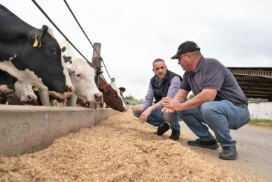 Hunland Company Group has 38,000 cattle. Since introducing Egalis Ferment, Hunland has seen remarkable improvements in feed production efficiency and cost management. Photo: Alltech