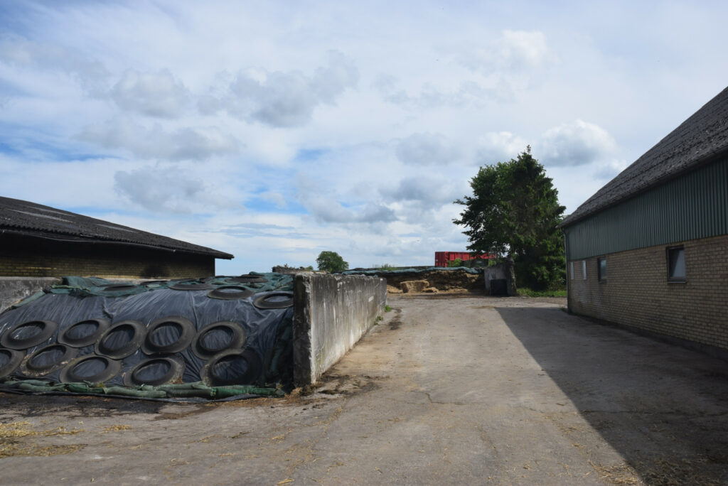 The grass is usually cut 4 times a year and then ensiled in flat silos.