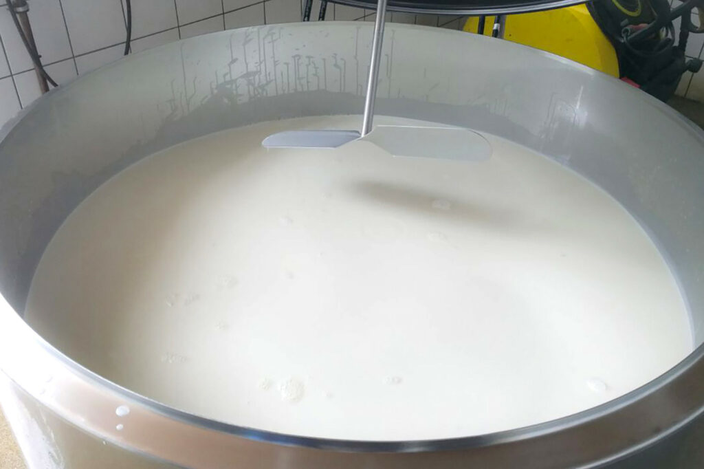 Cooling milk rapidly is essential for inhibiting bacterial growth and for maintaining good milk quality. Photo: Canva