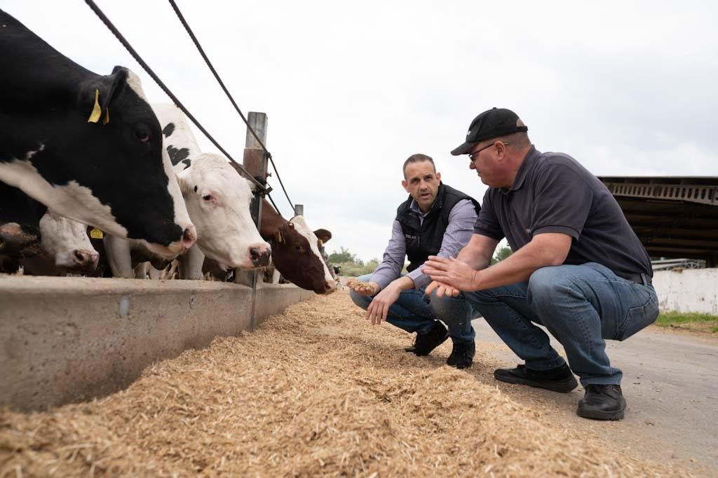 Hunland Company Group has 38,000 cattle. Since introducing Egalis Ferment, Hunland has seen remarkable improvements in feed production efficiency and cost management. Photo: Alltech