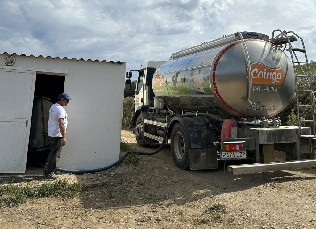 Joan supplies his milk to the Coinga Cooperative which in 2020, was certified with the European Animal Welfare certificate.