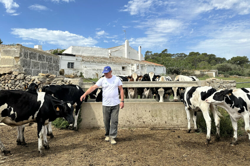 For the past 19 years, Joan Coll Alles has been the ‘l’amo de Binialcala’, or the farmer of Binialcala Farm, situated in the municipality of Es Mercadal. Photos: Chris McCullough