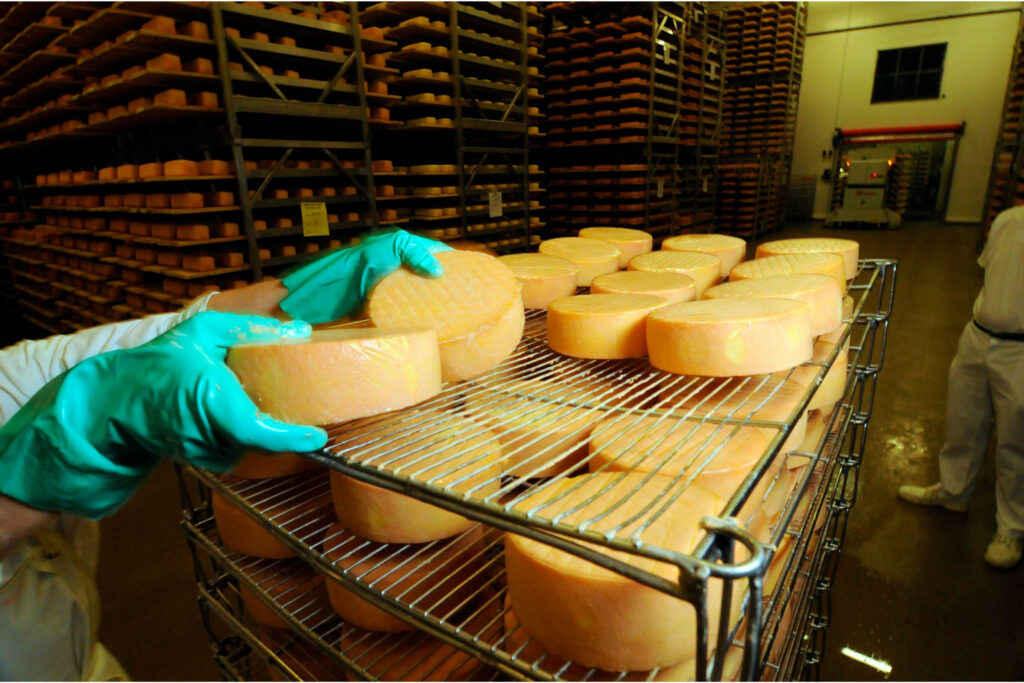 Cheese exports are forecast to rise from 85,000 tonnes in 2023 to 100,000 tonnes in 2024.