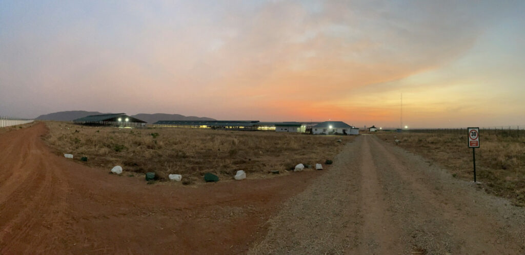 Sunset at Arla farm in Damau, Kaduna state in Nigeria.