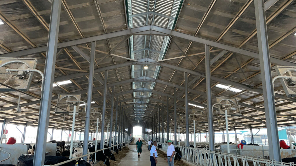 Cooling fans and milking systems require a lot of energy in hot countries.