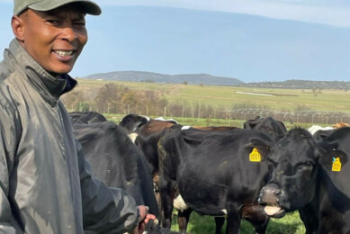 Ntsikelelo Baleni is the dairy manager at Morningside Farm in KwaZulu-Natal. As part of the Future Farmers Foundation he did an internship in Australia, adding valuable skills to his resumé. Photos: Judy Stuart