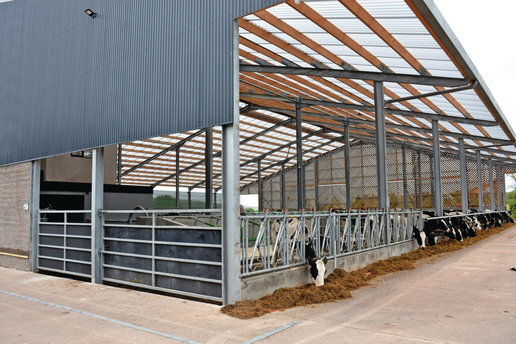 “I wanted to create a barn environment as close to nature as possible, therefore using the transparent roof sheeting to allow more light in was a no brainer,” Robert says.