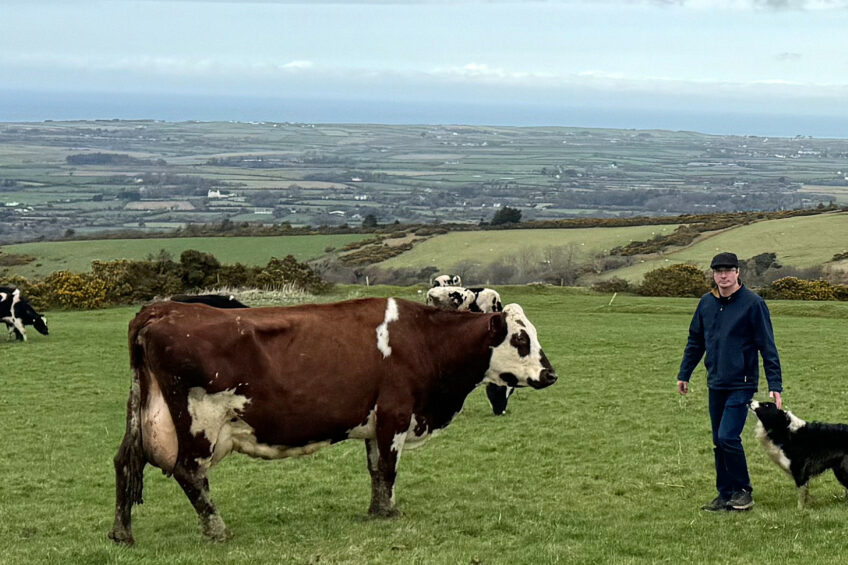 Running a dairy farm on the Isle of Man