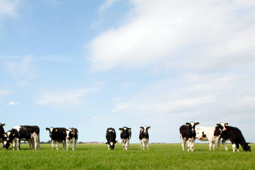 The Bezos Earth Fund, together with the Global Methane Hub, have a portfolio of grants looking to reduce methane emissions through genetics, feed, and ranch management practices. Photo: Canva