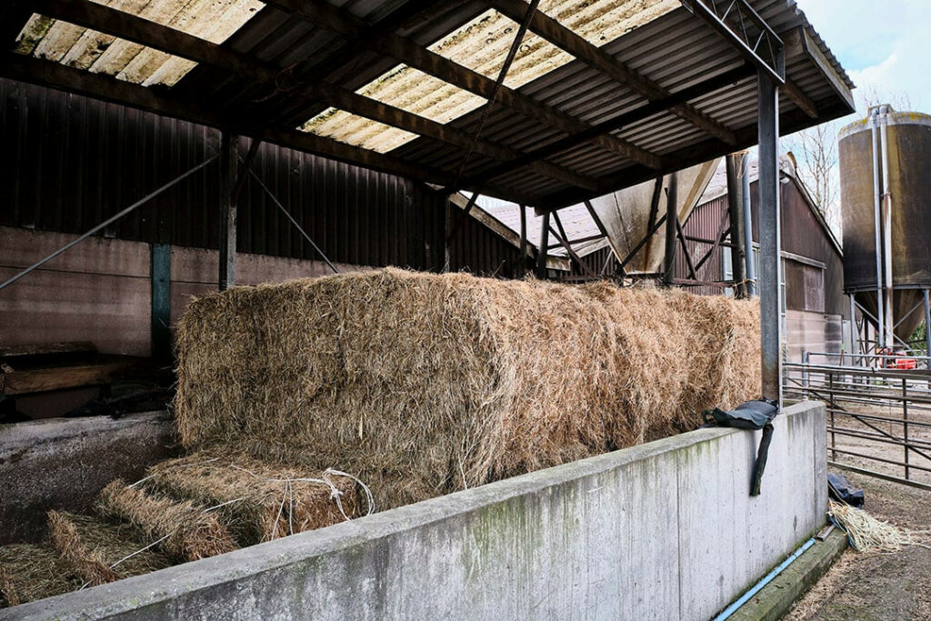 The hay storage – now there is purchased pasture. Marijke and Max want to make more for the dry cows themselves this year.