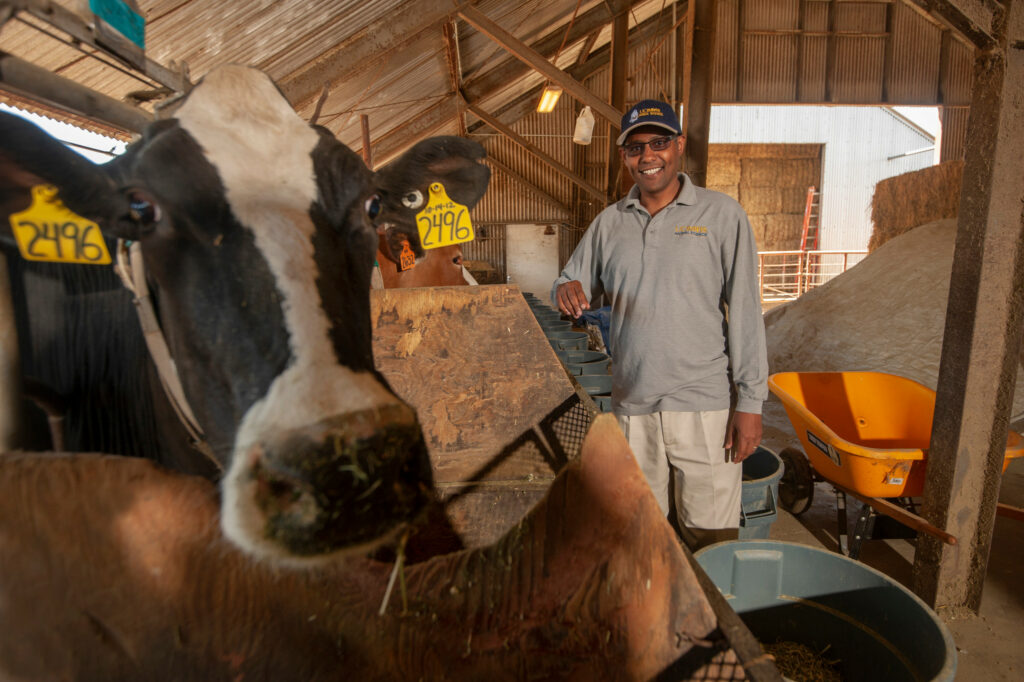 Ermias Kebreab agrees public pressure targeting livestock’s environmental impact is a key driving force for all endeavours. Photos: UC Davis