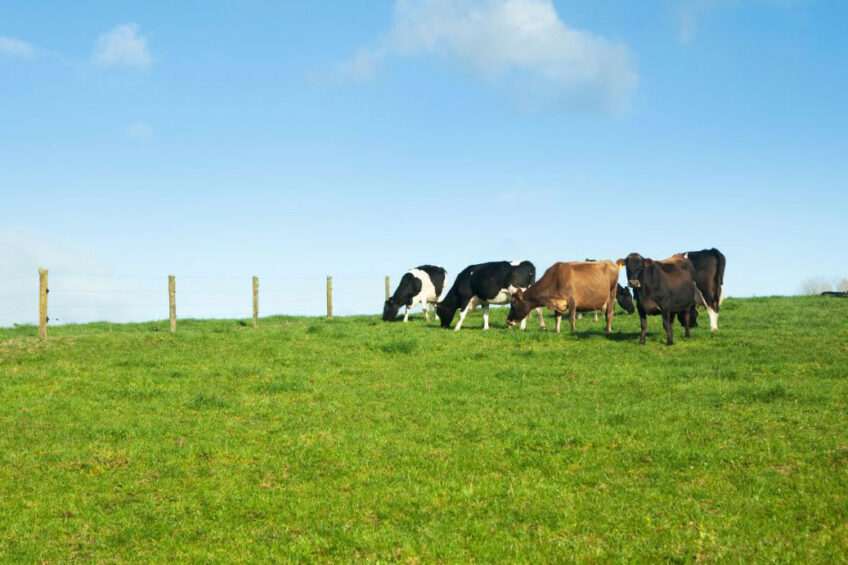 Fonterra is collaborating with its supplying farmers on various strategies. Photo: Canva