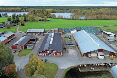 Juha Kantoniemi has been farming at the current location in Peränne, Finland, for almost 45 years. Photos: Henk Riswick