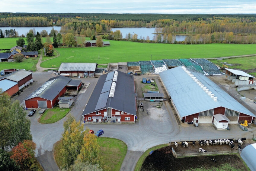 Juha Kantoniemi has been farming at the current location in Peränne, Finland, for almost 45 years. Photos: Henk Riswick