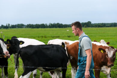 Following 2 profitable years, data shows farm business income for the dairy sector has fallen by 68% for 2023/4 to an average of £70,900. Photo: Canva