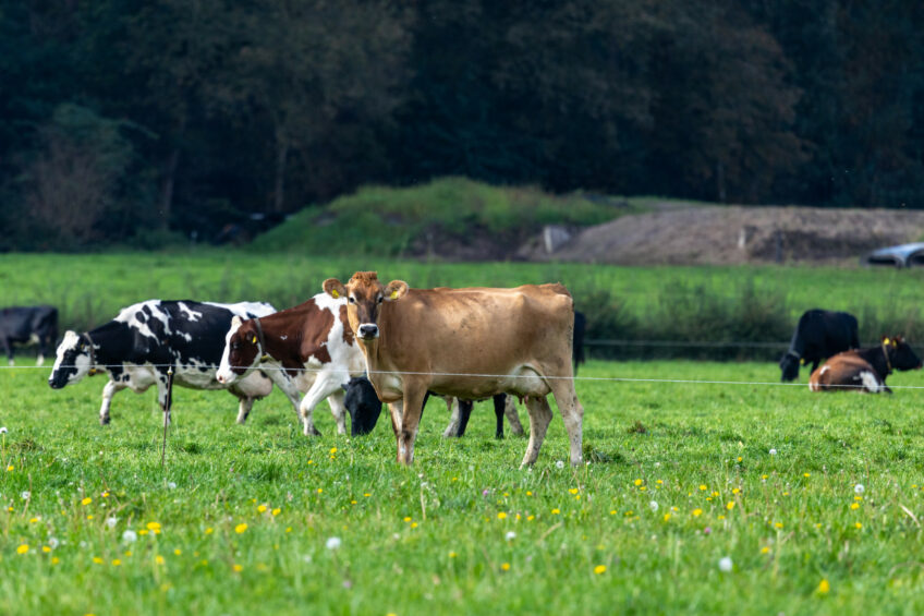 Costs linked to the reduction in emissions must not be borne solely by farmers and consumers, according to a new report by the UK government’s Environment and Climate Change committee. Photo: Koos Groenewold