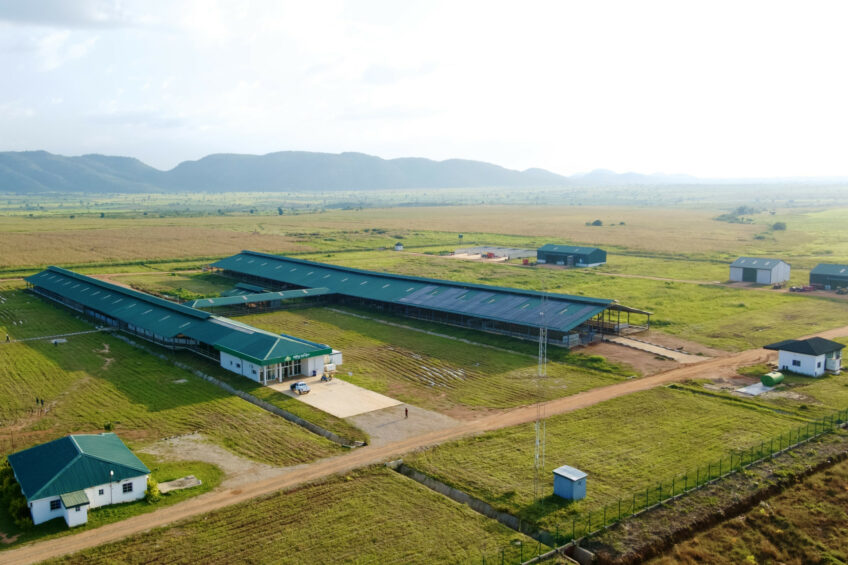 Some of the buildings at the Arla farm in Damau, Kaduna state, Nigeria. Photos: Arla Foods