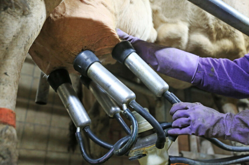 This new Federal Order is in combination with the USDA’s 24 April Federal Order, which requires compulsory testing of milking cows before they are moved to another state. Photo: Canva