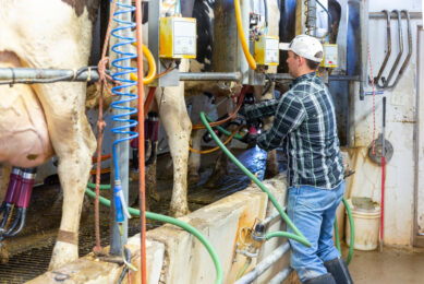 Training farm workers enhances knowledge, satisfaction, and compliance with milking protocols, leading to improved milk quality and udder health as well as increased job satisfaction. Photo: Canva