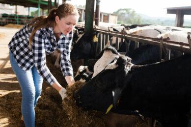 During the Dairy Dash event, students teamed up to learn about cow care and farming practices in a hands-on way. Photo: Canva