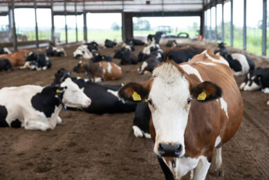 Changing the terms of subsidising existing loans will lead to a significant unplanned increase in the financial burden on agricultural and food producers, including dairy firms in Russia. Photo: Herbert Wiggerman