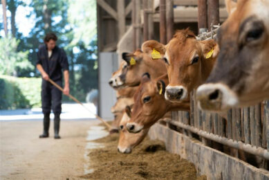 In terms of global challenges, Petersen highlights sustainability, labour shortages and food security. Photo: Jan Willem Schouten