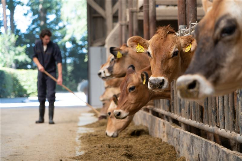 In terms of global challenges, Petersen highlights sustainability, labour shortages and food security. Photo: Jan Willem Schouten