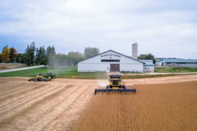 Dave and Doug Johnston run Maplevue Farms in Listowel, Ontario. Photos: Maplevue Farms