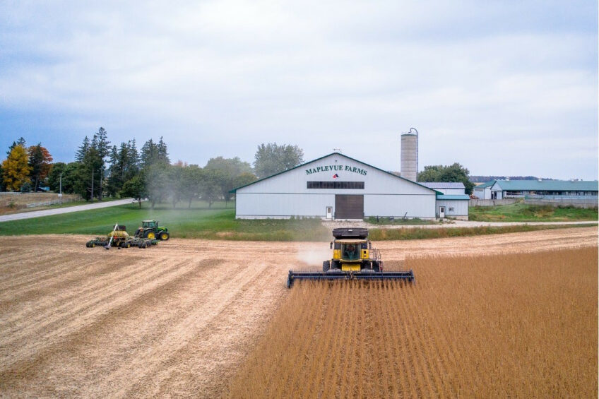 Dave and Doug Johnston run Maplevue Farms in Listowel, Ontario. Photos: Maplevue Farms